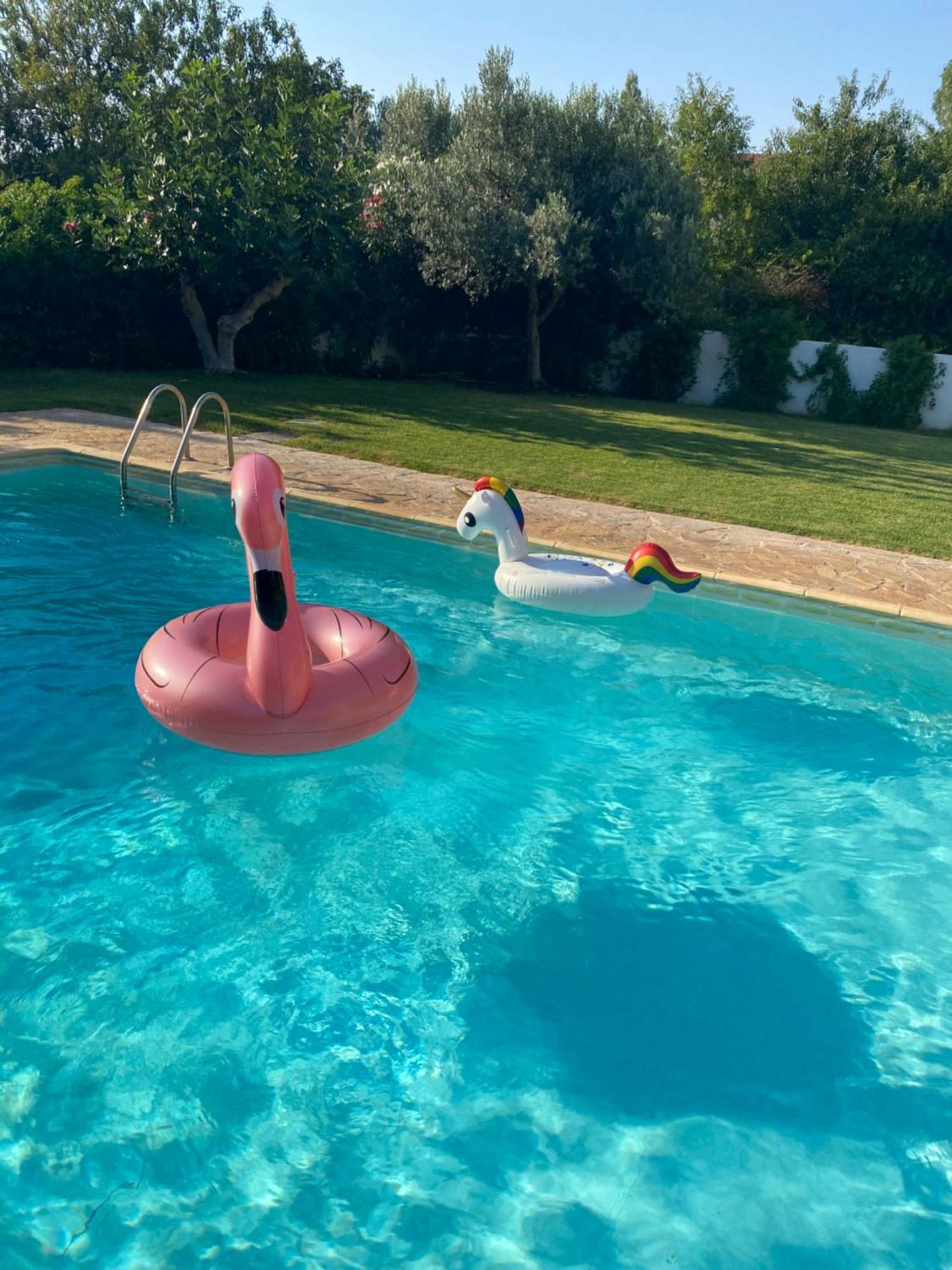 Relaxing Villa With Swimming Pool And Garden Agios Georgios (Attica) Exterior foto