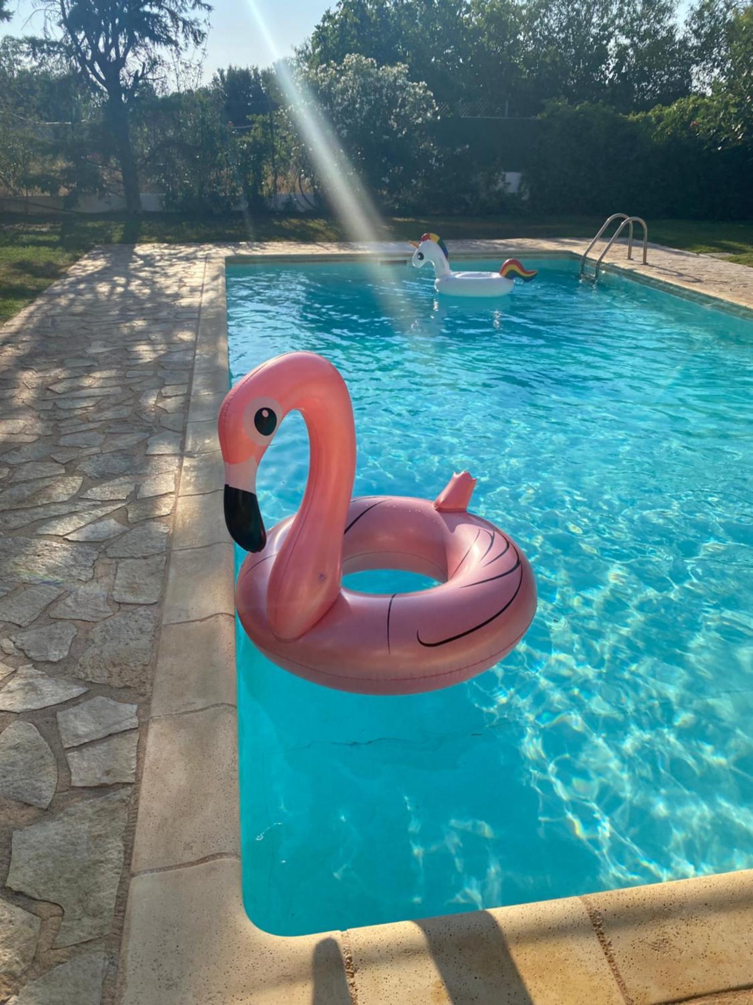 Relaxing Villa With Swimming Pool And Garden Agios Georgios (Attica) Exterior foto